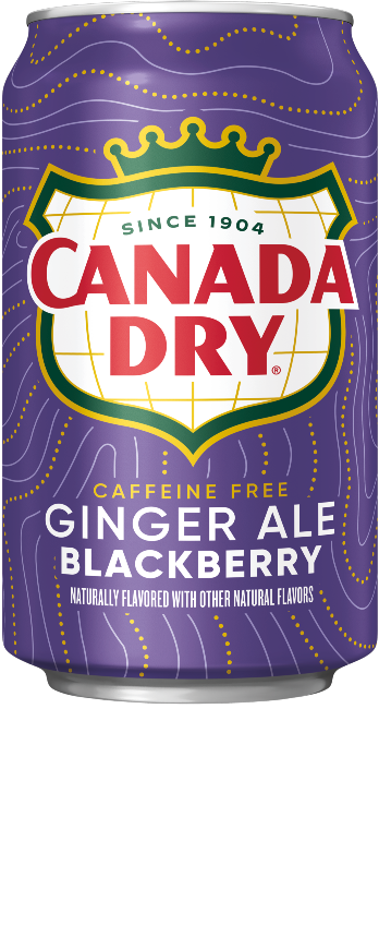 Canada Dry Blackberry Ginger Ale (355ml)